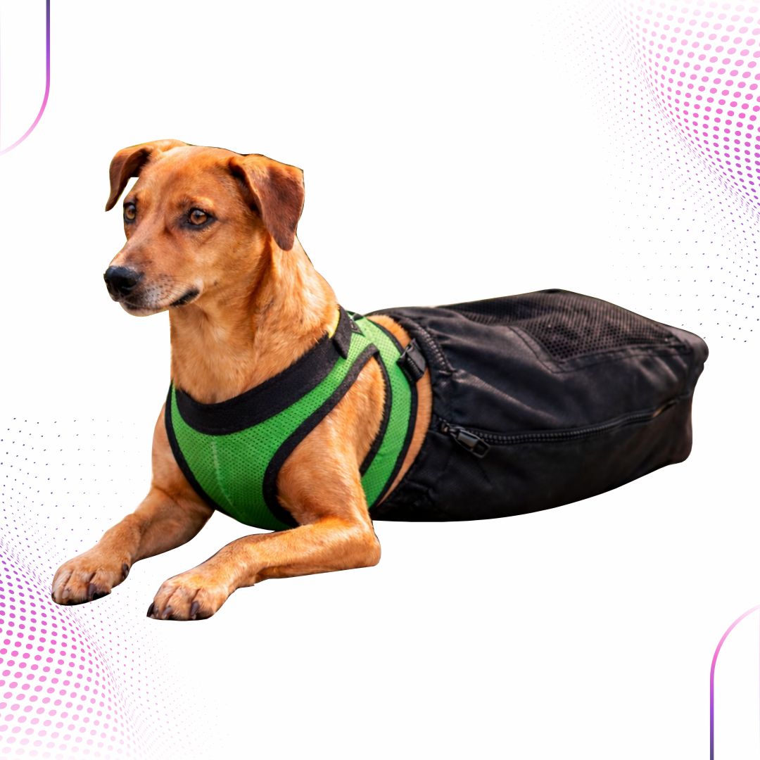 Bag de Arrasto – Animais Paraplégicos