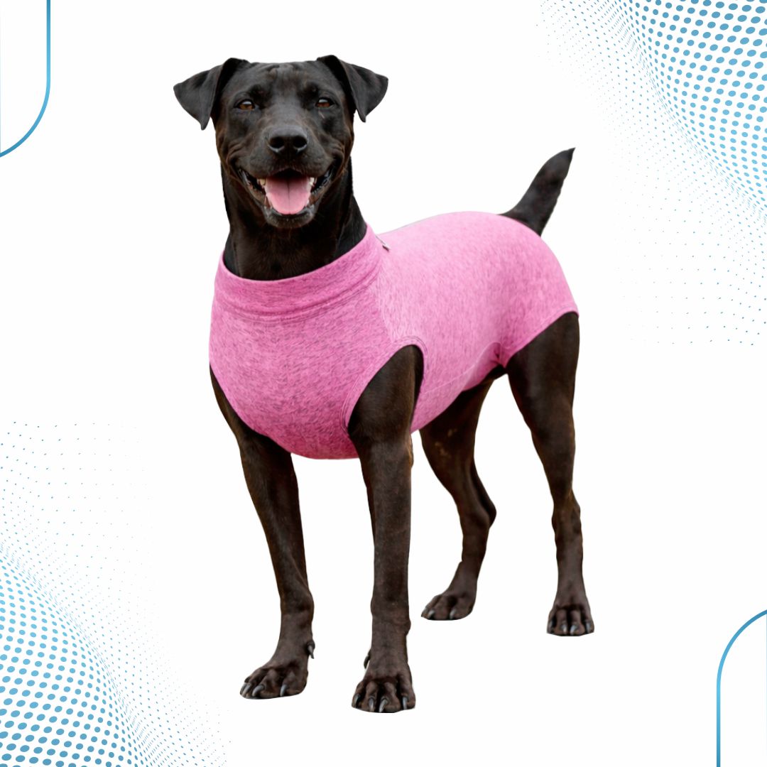 Roupa Pós-Cirúrgica Cão Fêmea – Dry Fit