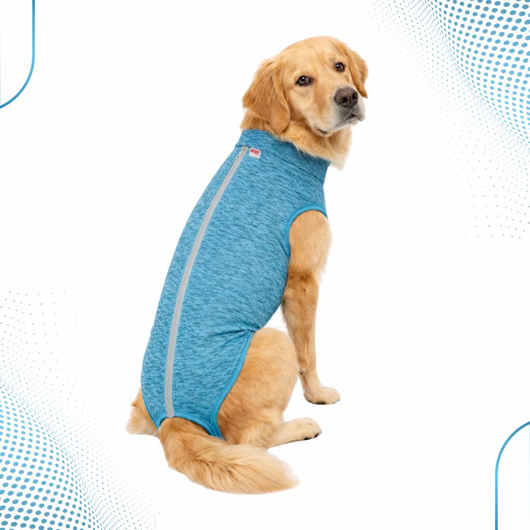Roupa Pós-Cirúrgica Cão Macho – Dry Fit