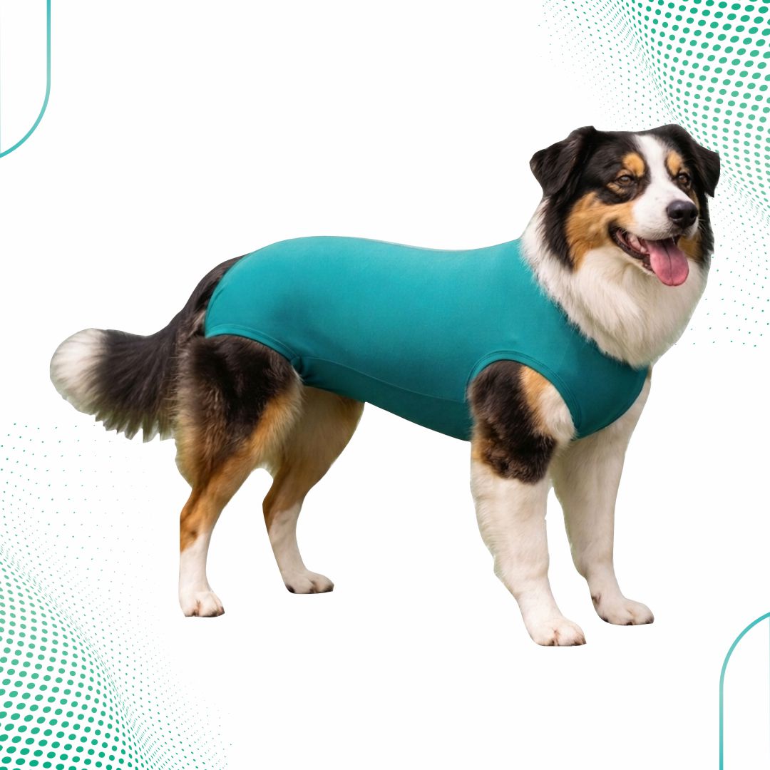 Roupa Pós-Cirúrgica Cão Unissex – Cotton