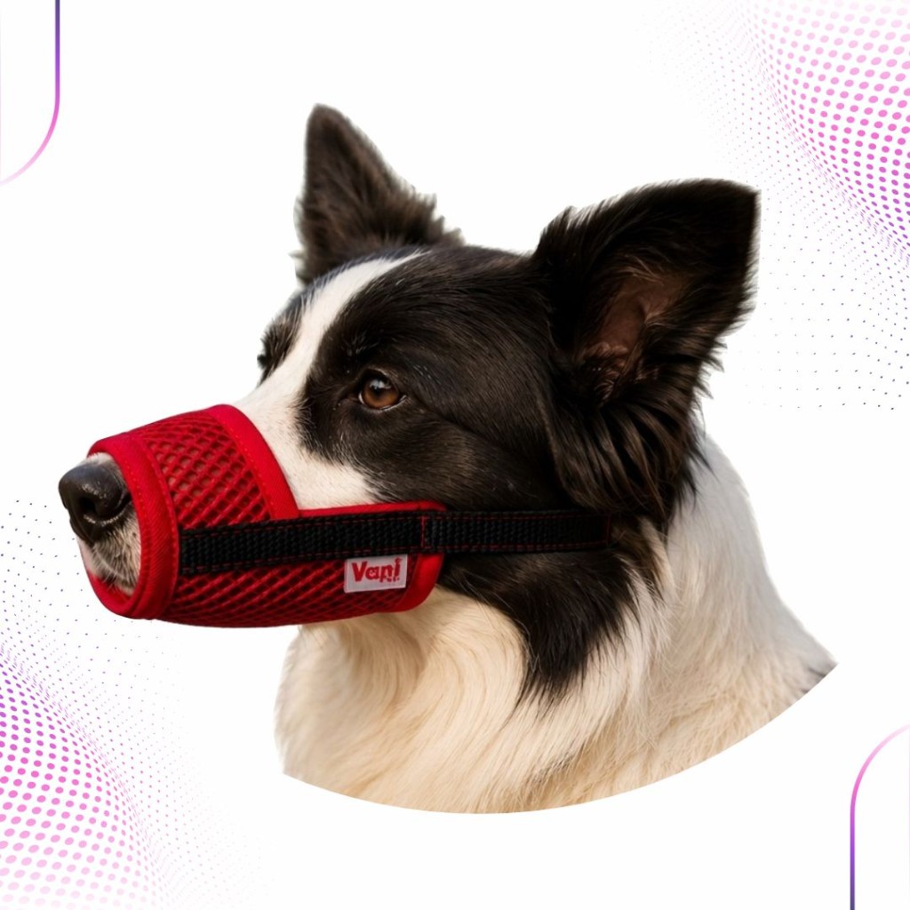 Focinheira Comfort Dog