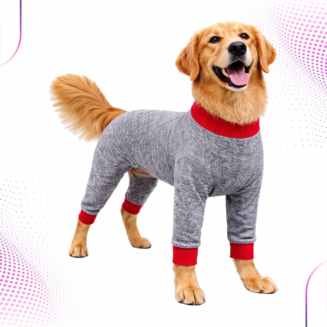 Four Legs – Corpo e Membros