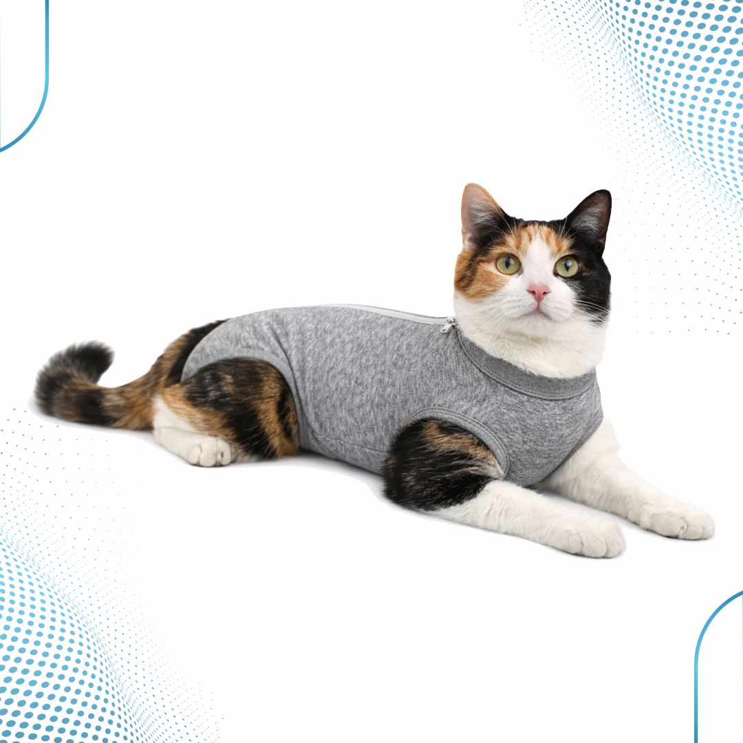 Roupa Pós-Cirúrgica Gato Unissex – Dry Fit