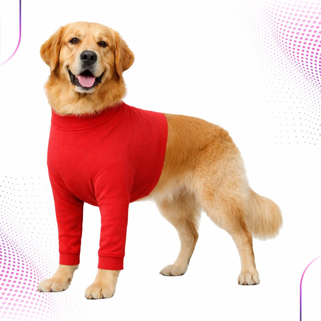 Membros Anteriores para Cães – Cotton