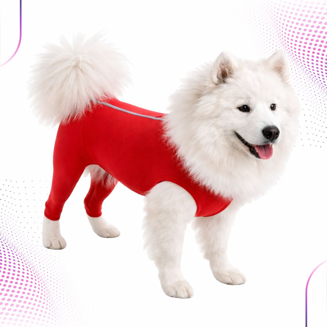 Membros Posteriores para Cães – Cotton